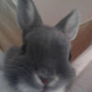 Meet your Posher, April